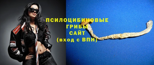 кокс Дмитров
