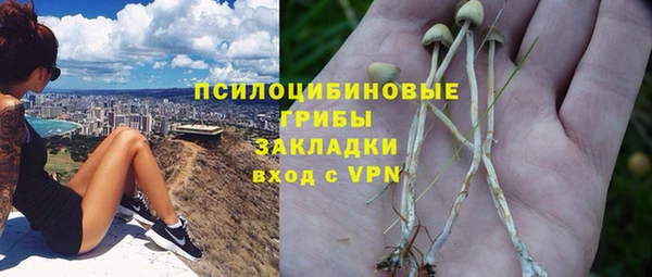 кокс Дмитров