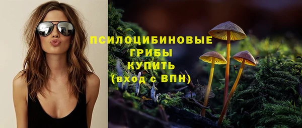 mdma Дмитриев
