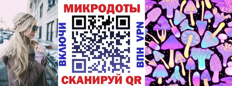 Псилоцибиновые грибы Psilocybine cubensis Кочубеевское